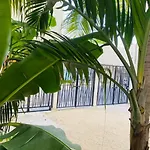 Coco 42