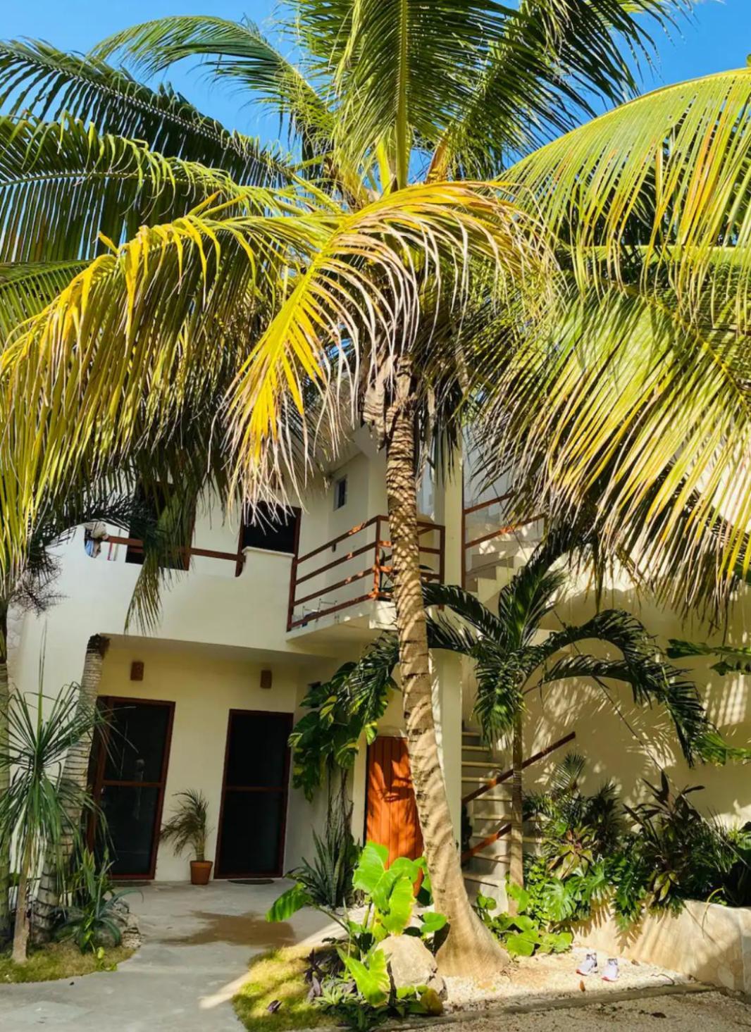 Apartamento Coco 42